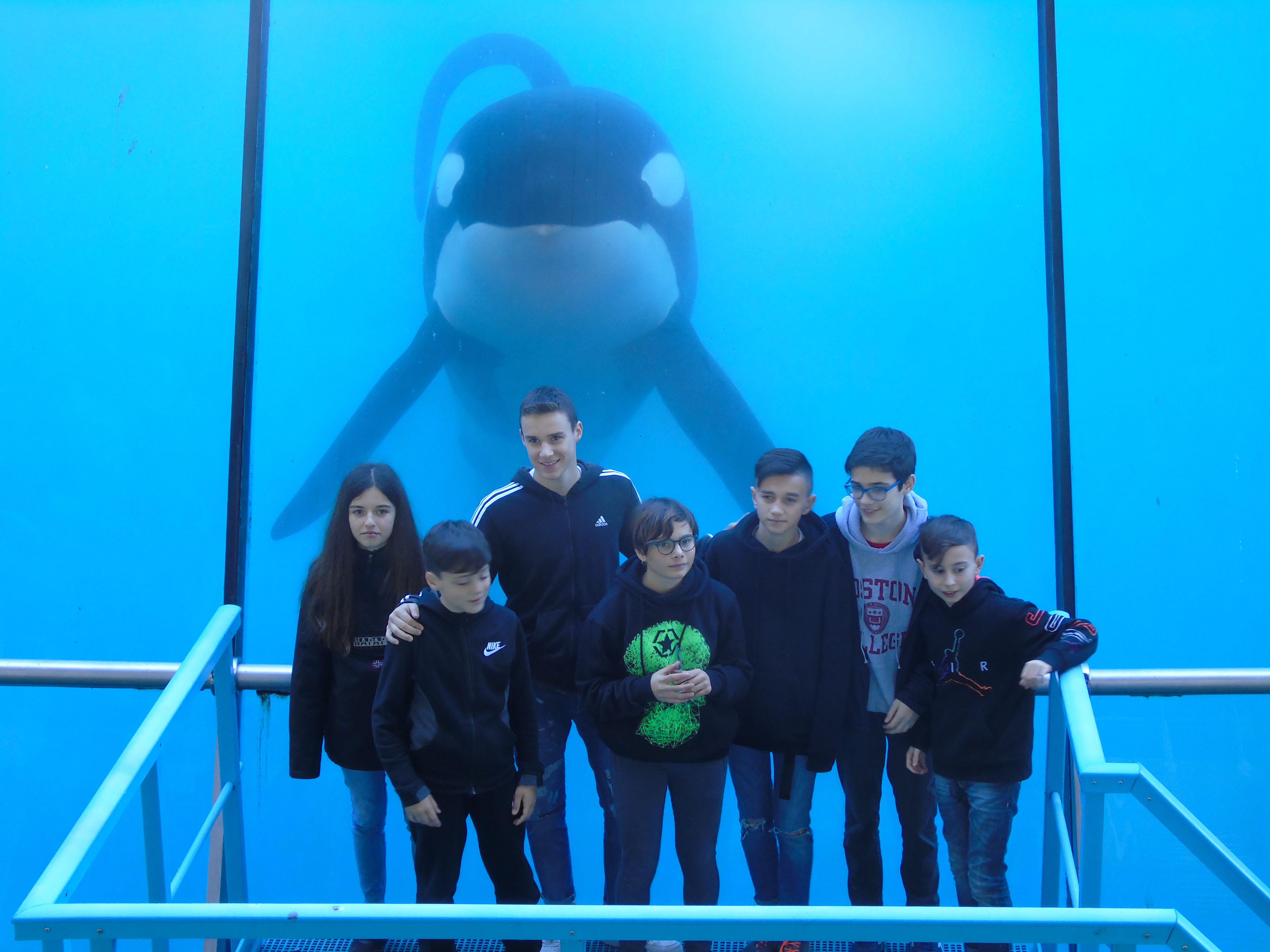 Marineland 2019